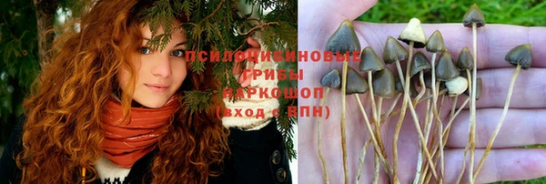 гидропоника Козловка