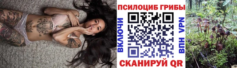Купить закладки  Искитим  Галлюциногенные грибы мухоморы 
